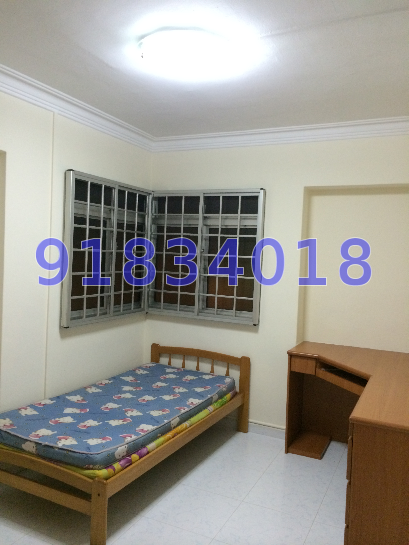 Woodlands Avenue 5 thumbnail photo